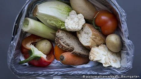 کچرے سے غذائی اشیا نکال کر کھانےکی اجازت، کیا فوڈ ویسٹ میں کوئی کمی آئے گی؟