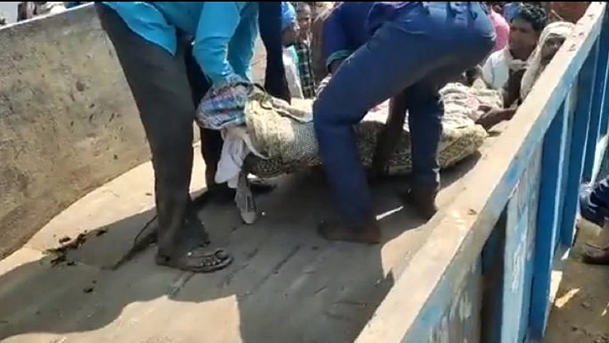 <div class="paragraphs"><p>تصویر ویڈیو گریب</p></div>