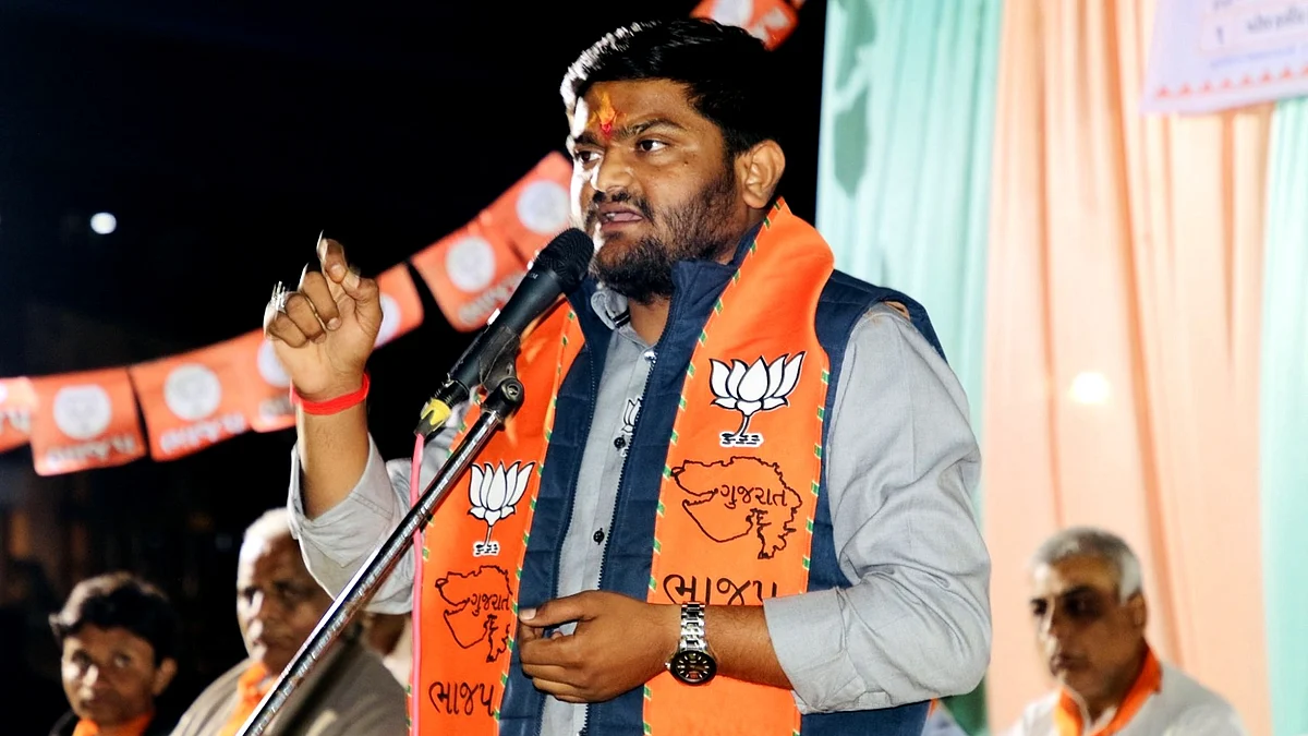 <div class="paragraphs"><p>ہاردک پٹیل، تصویر آئی اے این ایس</p></div>