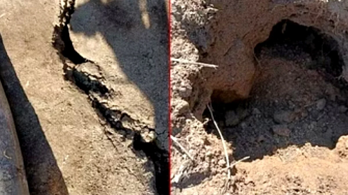 <div class="paragraphs"><p>جوشی مٹھ، تصویر آئی اے این ایس</p></div>