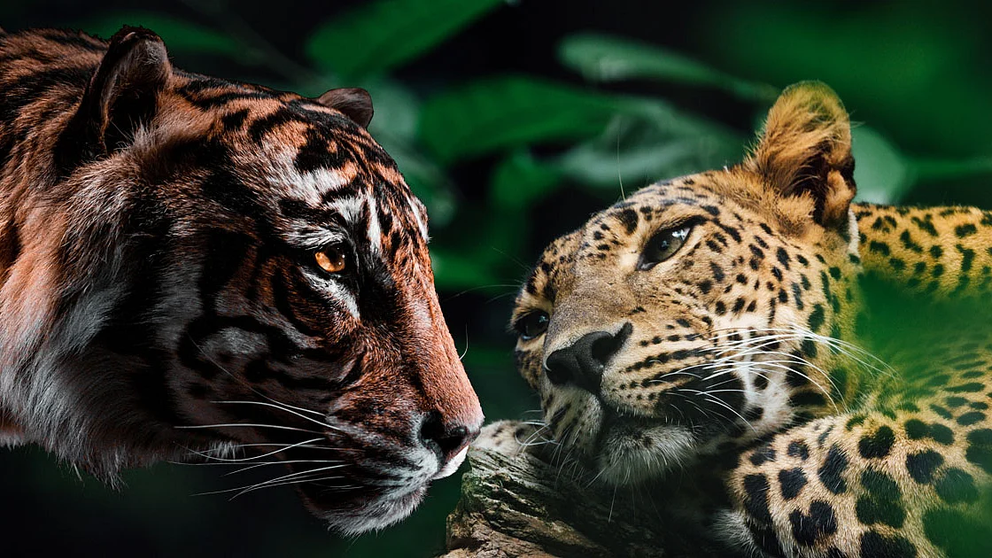 <div class="paragraphs"><p>تصویر سوشل میڈیا</p></div>