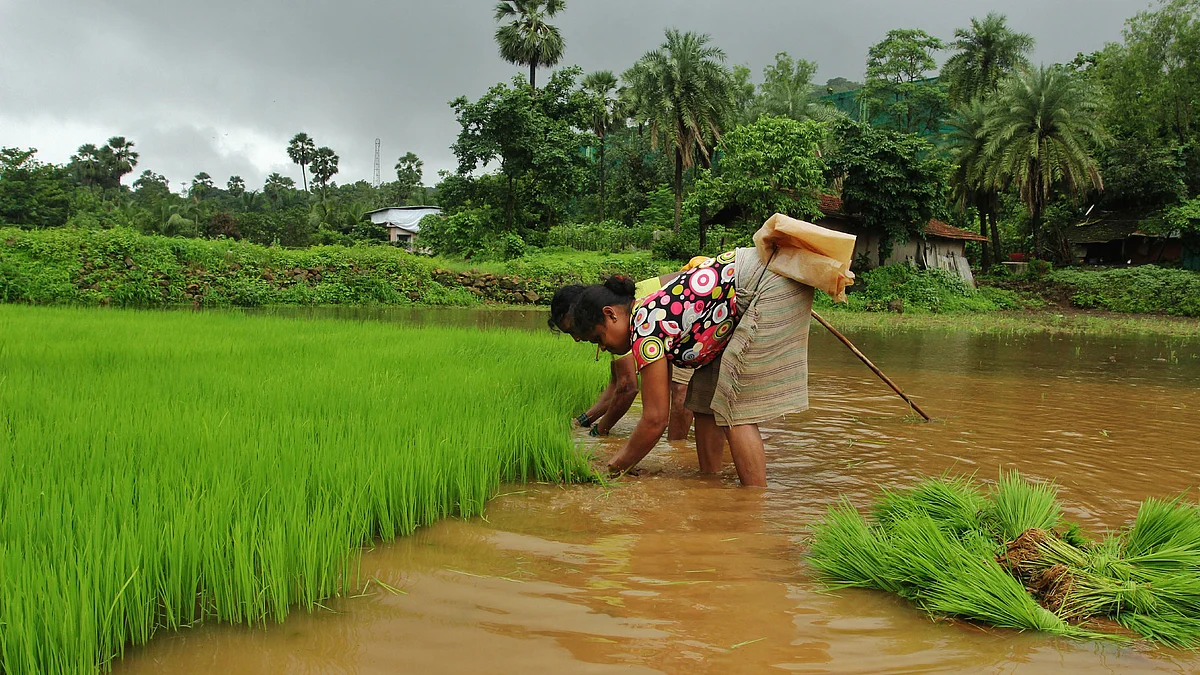 <div class="paragraphs"><p>مہاراشٹر میں بارش / Getty Images</p></div>
