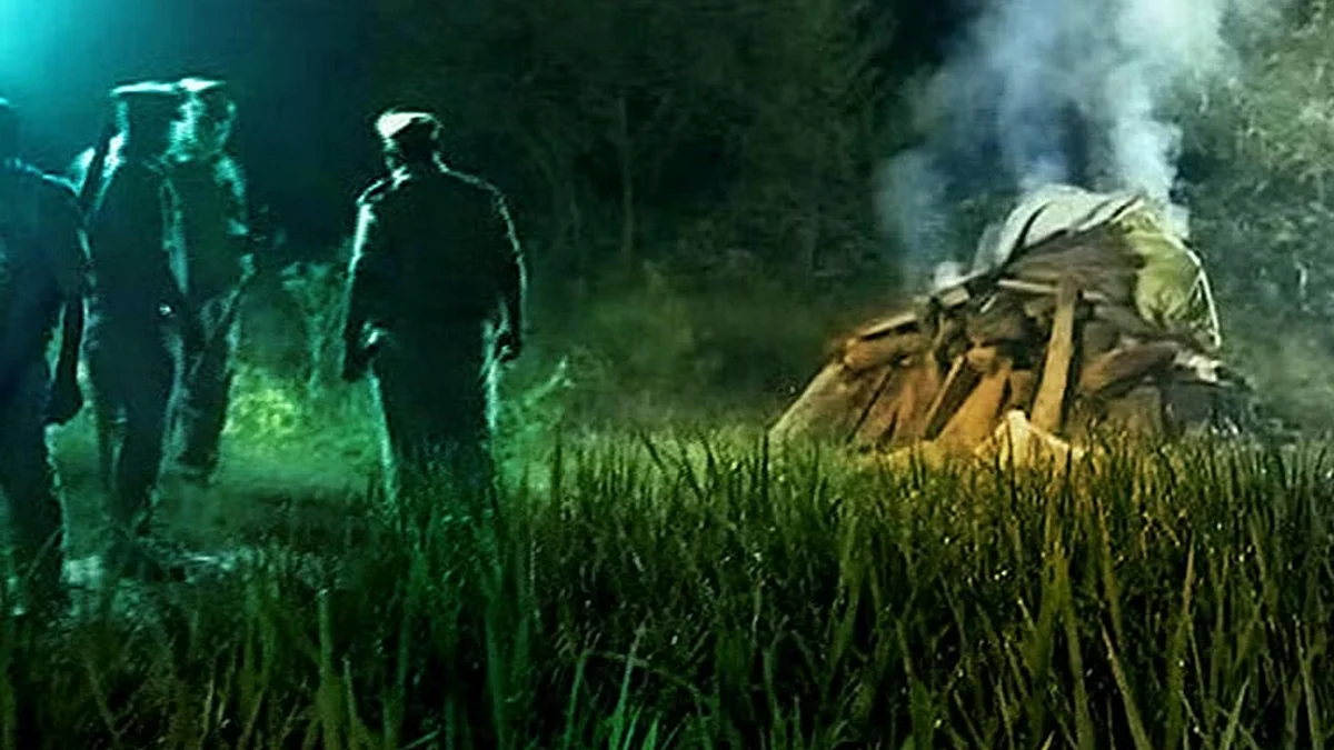 <div class="paragraphs"><p>فائل تصویر</p></div>