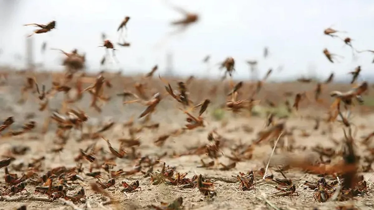 <div class="paragraphs"><p>بشکریہ العربیہ ڈاٹ نیٹ</p></div>