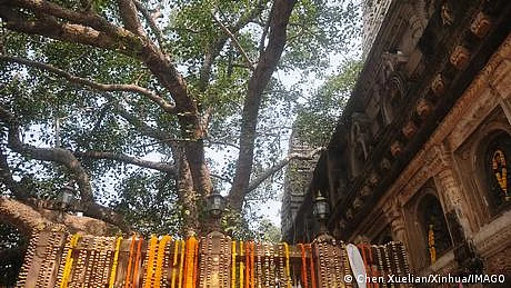 بھارتی مندر میں خاتون کی قربانی، پانچ ملزمان گرفتار