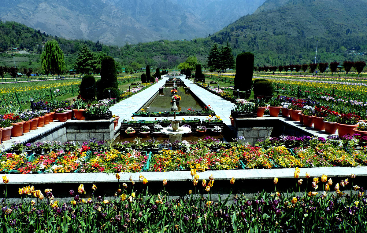 کشمیر: ایک ماہ میں 3.65 لاکھ سیاحوں کی ریکارڈ تعداد باغ گل لالہ کی رعنائیوں سے لطف اندوز