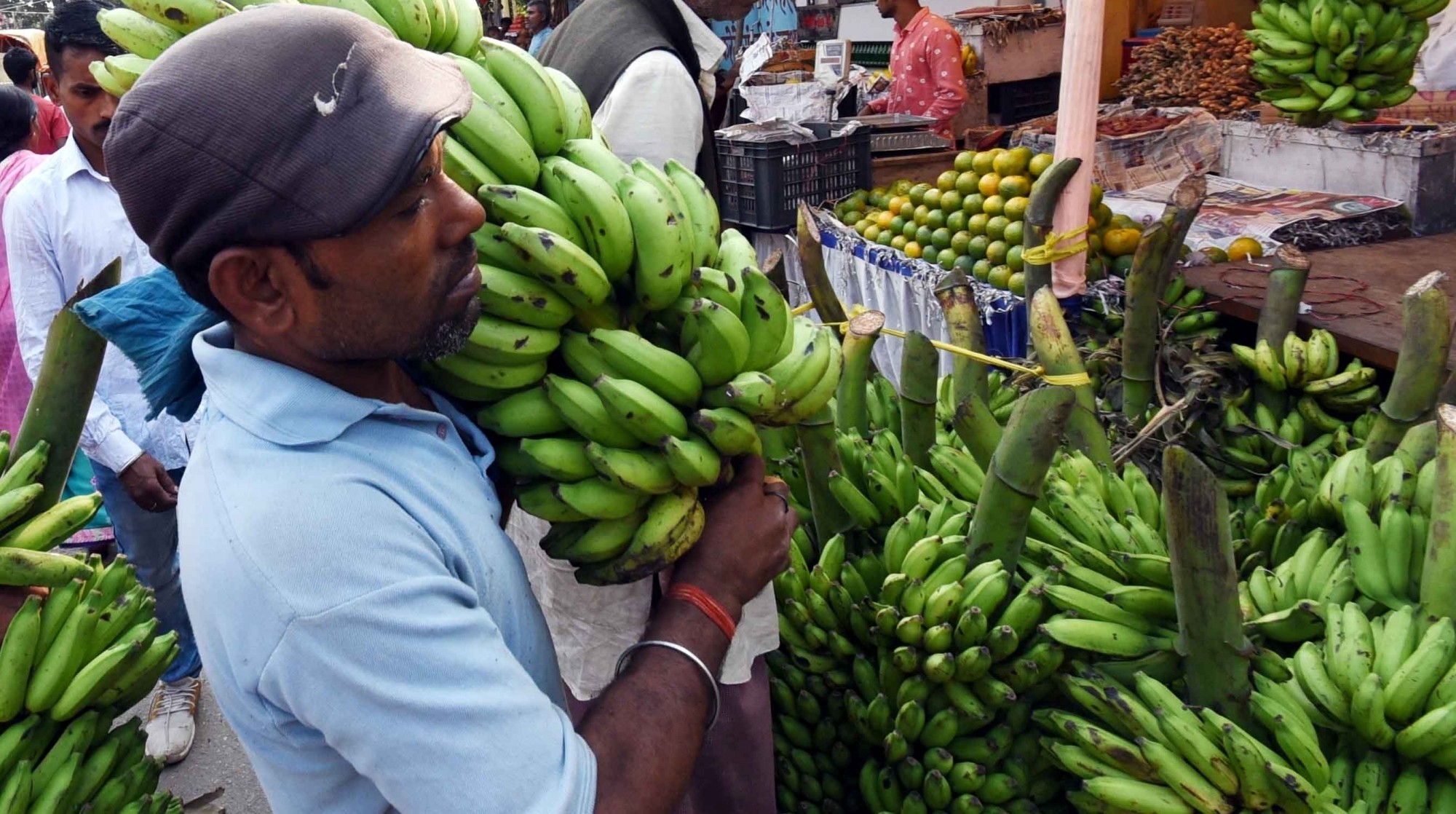 <div class="paragraphs"><p>فائل تصویر آئی اے این ایس </p></div>