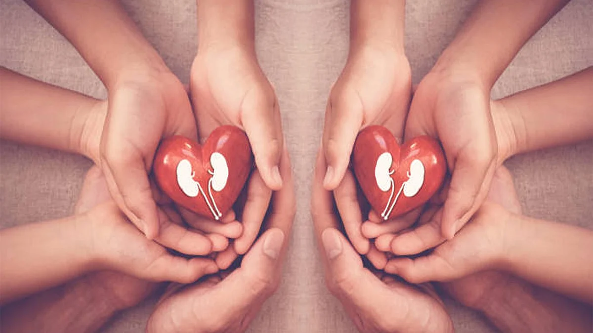 <div class="paragraphs"><p>علامتی تصویر</p></div>