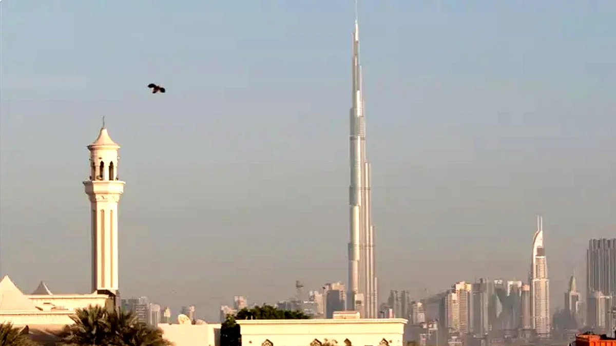 <div class="paragraphs"><p>تصویر العربیہ ڈاٹ نیٹ</p></div>