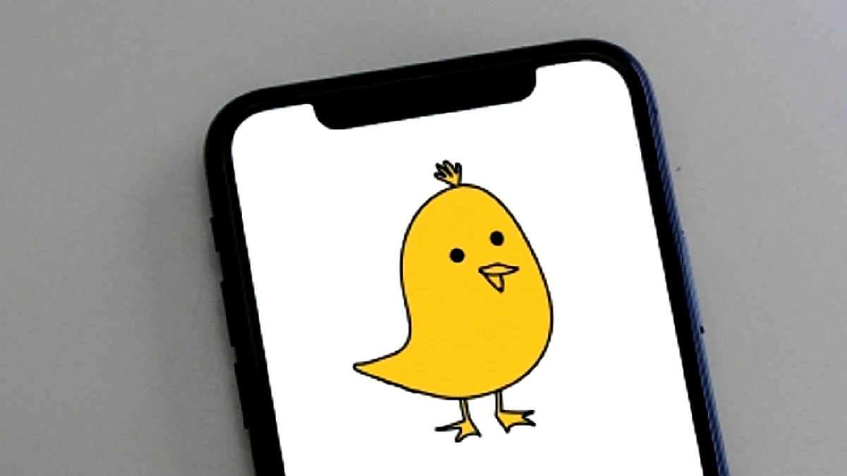 <div class="paragraphs"><p>’کو‘ تصویر آئی اے این ایس</p></div>