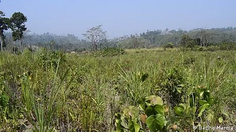 پاکستان: زراعت کی تباہی، ریئل اسٹیٹ کی چاندی