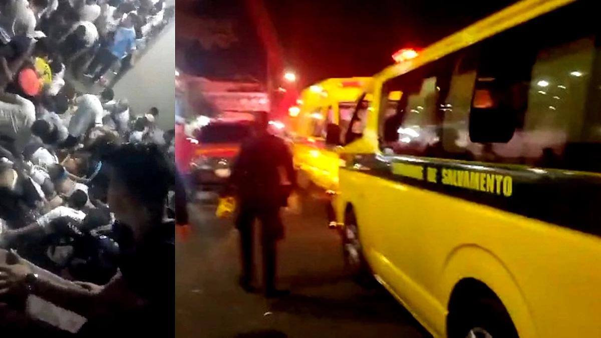 <div class="paragraphs"><p>تصویر آئی اے این ایس</p></div>