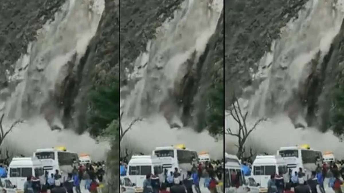 <div class="paragraphs"><p>تصویر سوشل میڈیا</p></div>