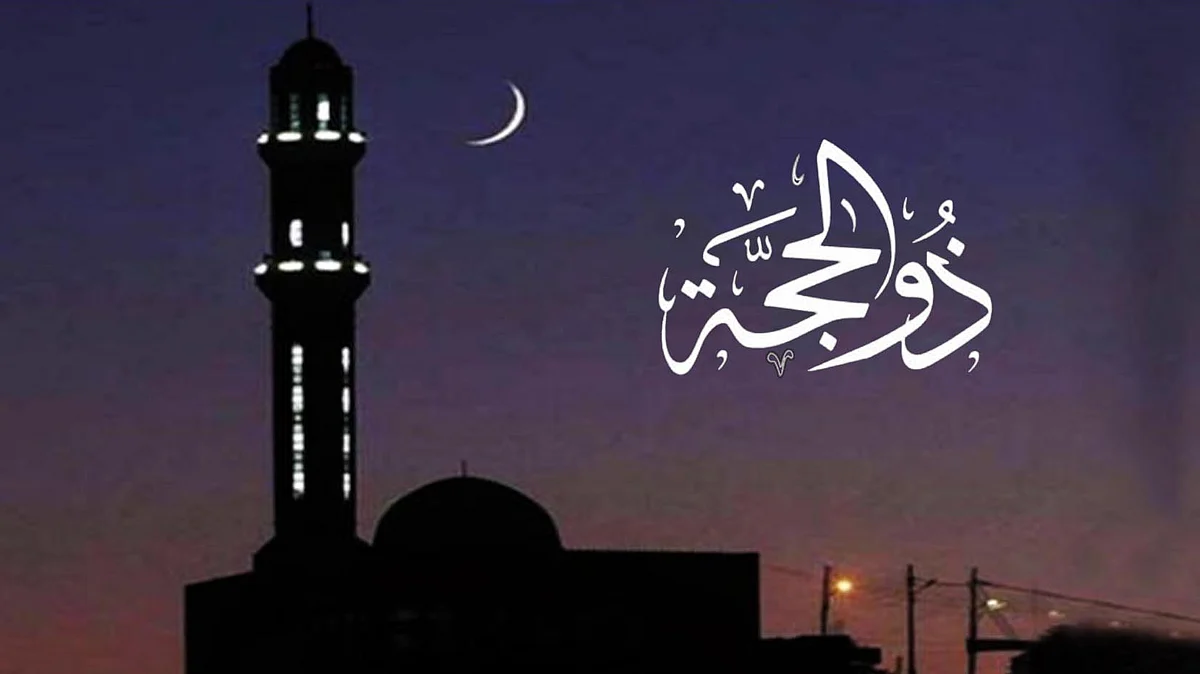 <div class="paragraphs"><p>سوشل میڈیا</p></div>