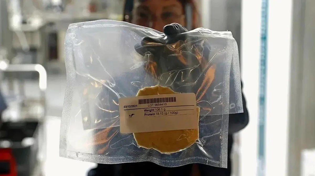 <div class="paragraphs"><p>العربیہ ڈاٹ نیٹ</p></div>