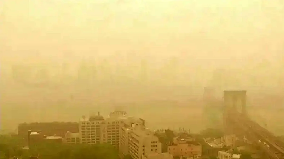 <div class="paragraphs"><p>العربیہ ڈاٹ نیٹ</p></div>