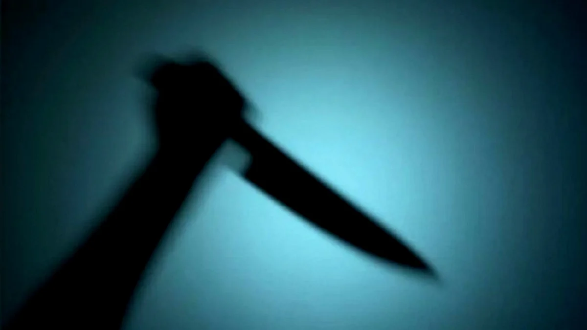 <div class="paragraphs"><p>قتل کی علامتی تصویر آئی اے این ایس</p></div>