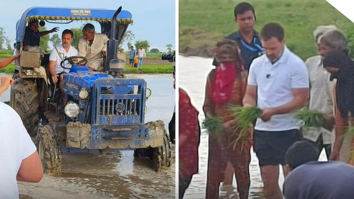 <div class="paragraphs"><p>تصویر ٹوئٹر</p></div>