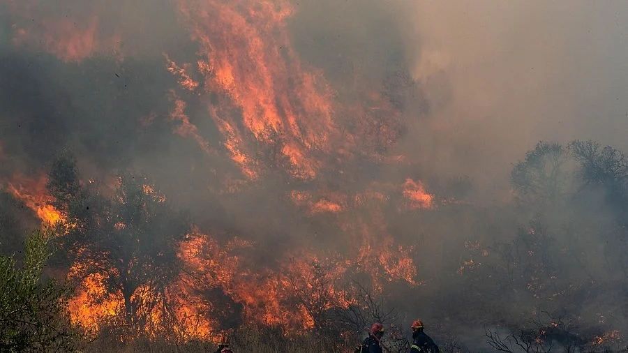 <div class="paragraphs"><p>فائل تصویر آئی اے این ایس</p></div>