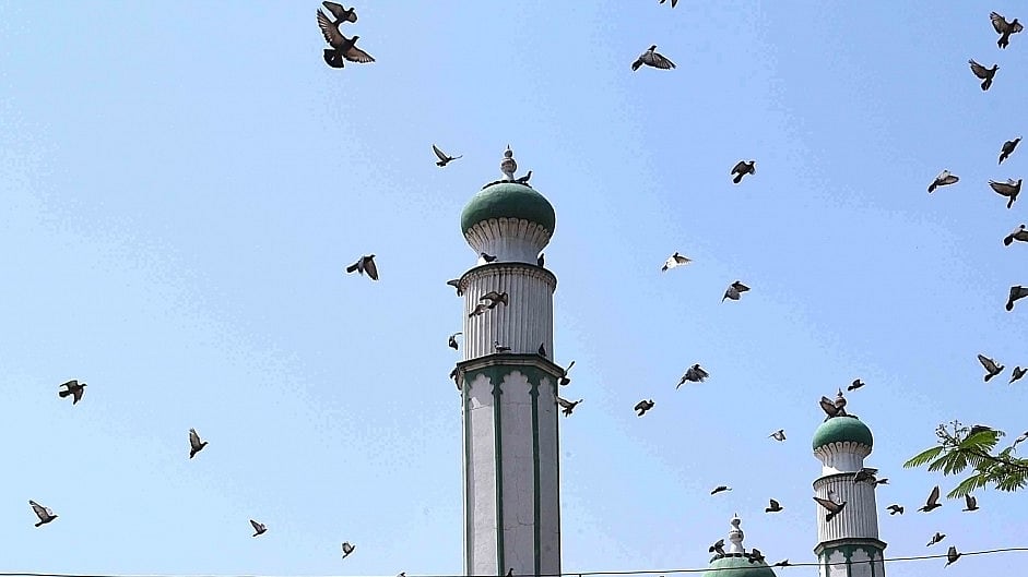 <div class="paragraphs"><p>فائل علامتی تصویر آئی اے این ایس</p></div>