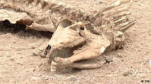 موسمیاتی تبدیلی سے کمزور ملکوں میں تصادم میں اضافے کا خدشہ