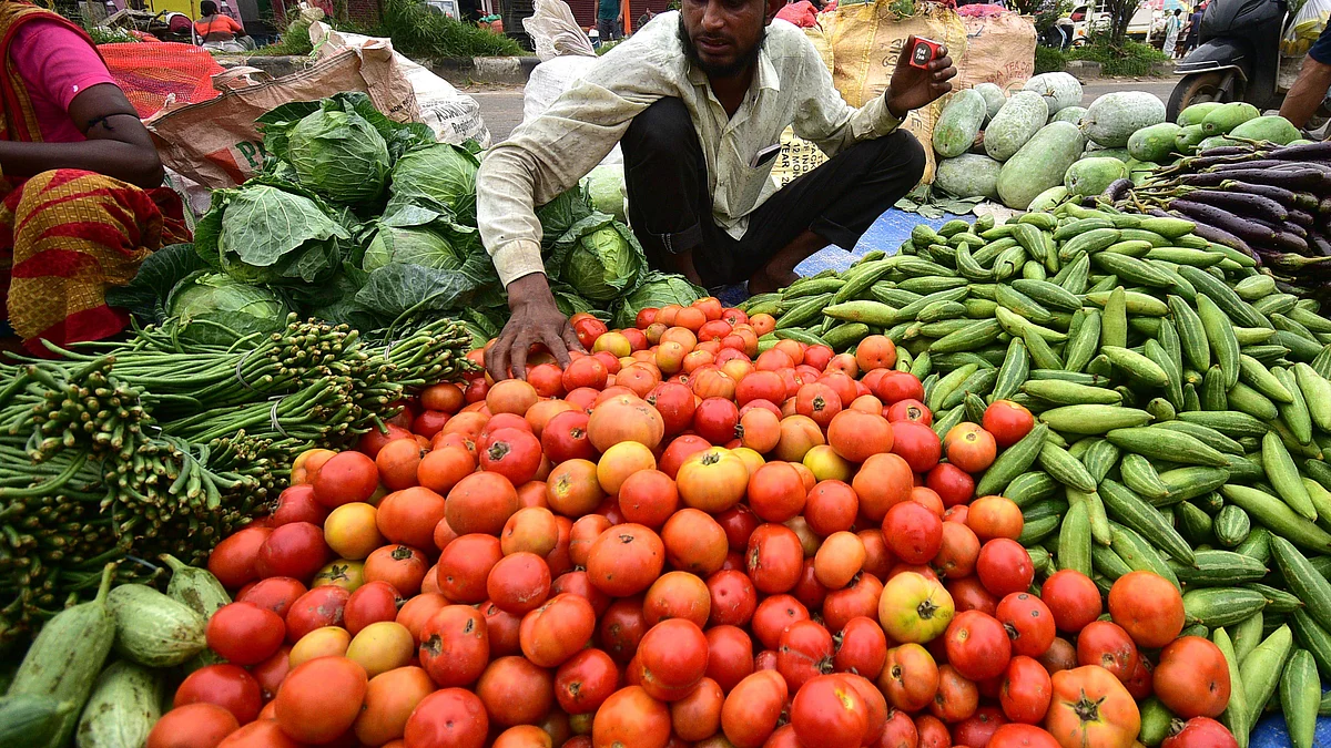 <div class="paragraphs"><p>ٹماٹر / آئی اے این ایس</p></div>