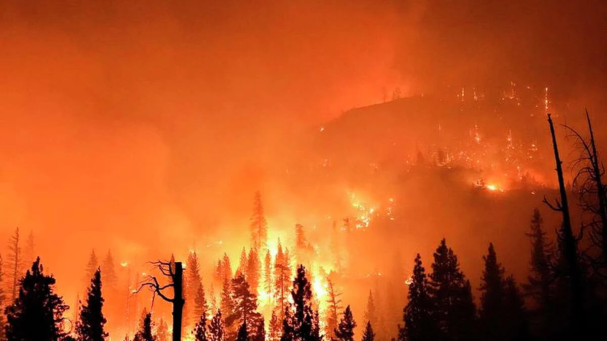 <div class="paragraphs"><p>سوشل میڈیا</p></div>