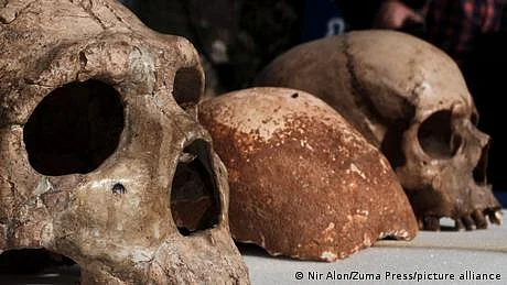 ہم اپنی زندگیوں کے لیے چند سو قدیم انسانوں کے مرہون منت کیوں؟