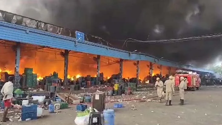 <div class="paragraphs"><p>آزادپور منڈی میں لگی آگ کا منظر، تصویر ویڈیو گریب</p></div>