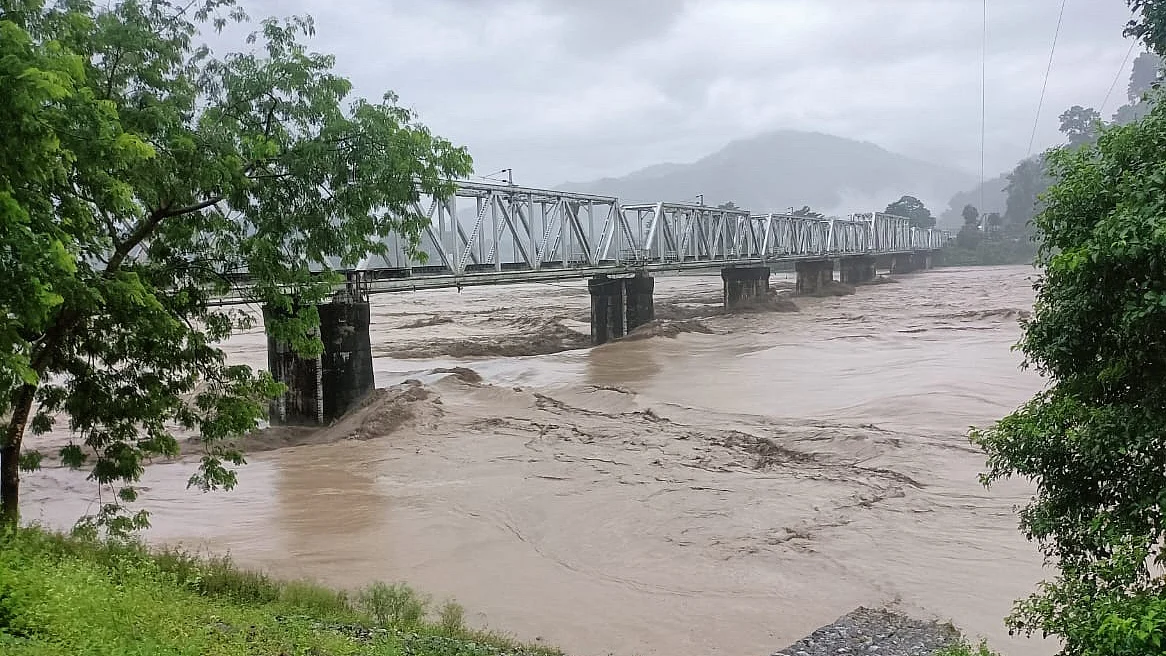 <div class="paragraphs"><p>تصویر سوشل میڈیا</p></div>