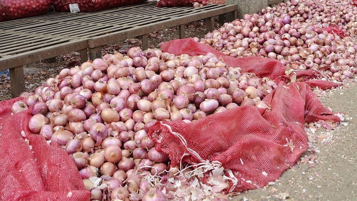 پیاز کی قیمتوں میں اضافہ کا رجحان، دہلی میں قیمت 80 روپے فی کلو تک پہنچ گئی