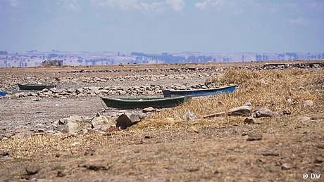 کرہ ارض کو بچانے کے لیے 'ہیلتھ ایمرجنسی' کا نفاذ ناگزیر