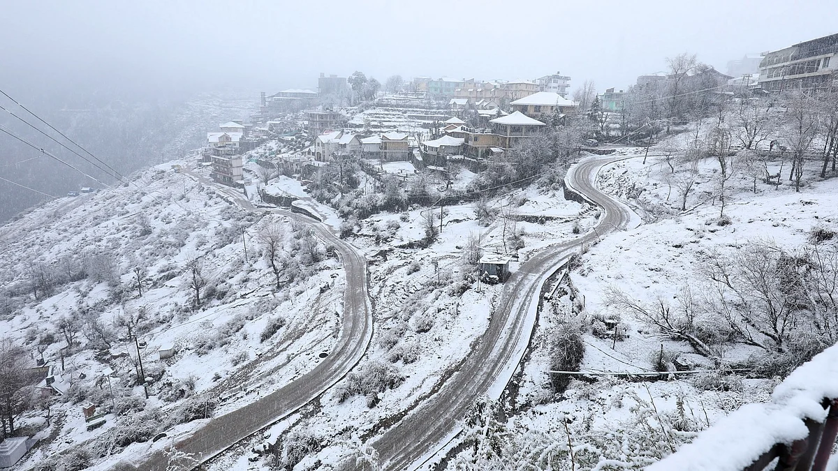 <div class="paragraphs"><p>فائل علامتی تصویر آئی اے این ایس</p></div>