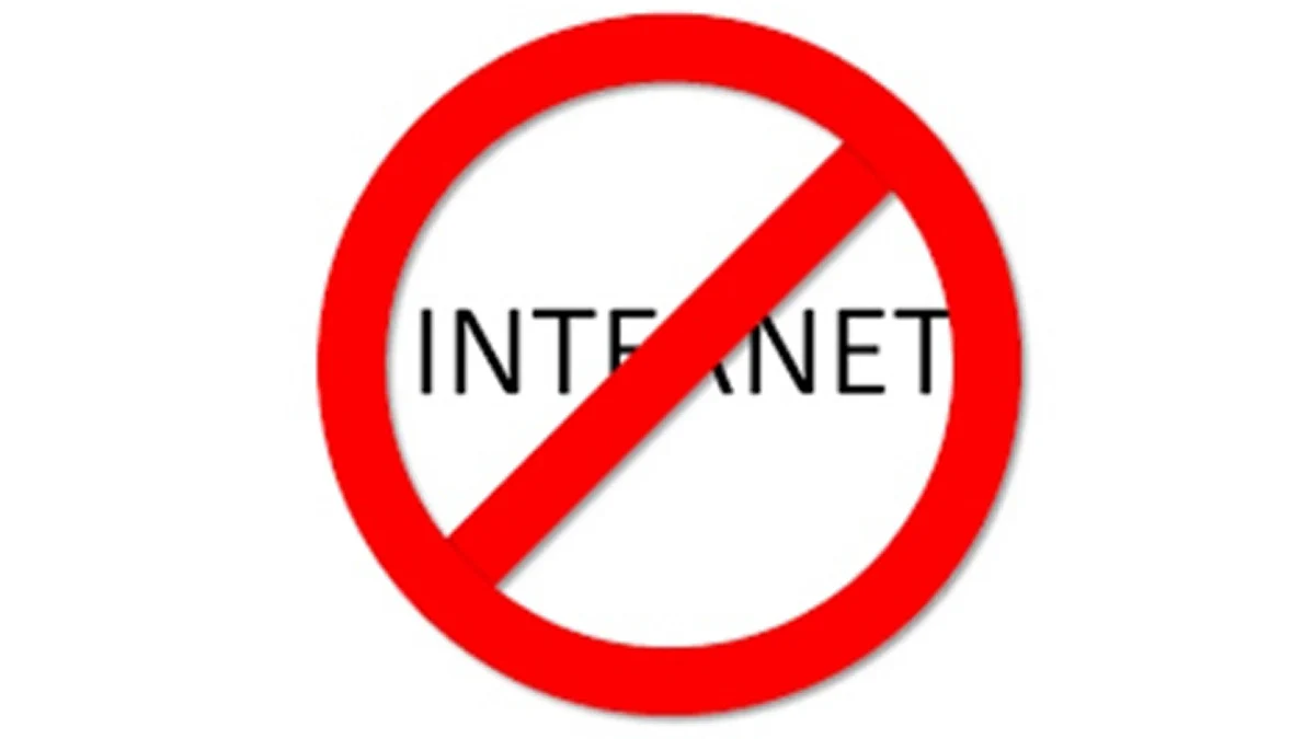 <div class="paragraphs"><p>انٹرنیٹ بین / آئی اے این ایس</p></div>