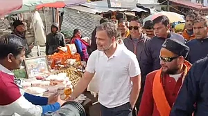 انتخابی کیمپین کے بیچ راہل گاندھی کیدارناتھ پہنچے