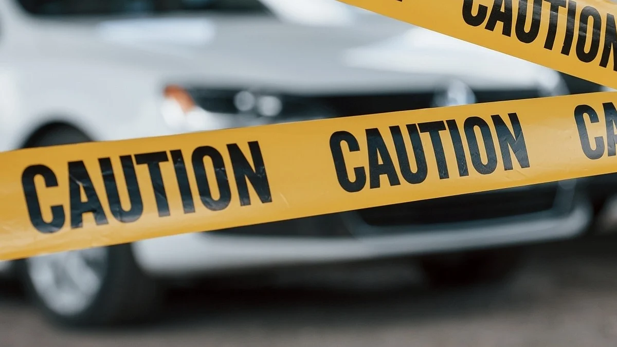 <div class="paragraphs"><p>فائل علامتی تصویر آئی اے این ایس</p></div>