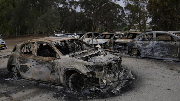 <div class="paragraphs"><p>ویڈیو گریب</p></div>