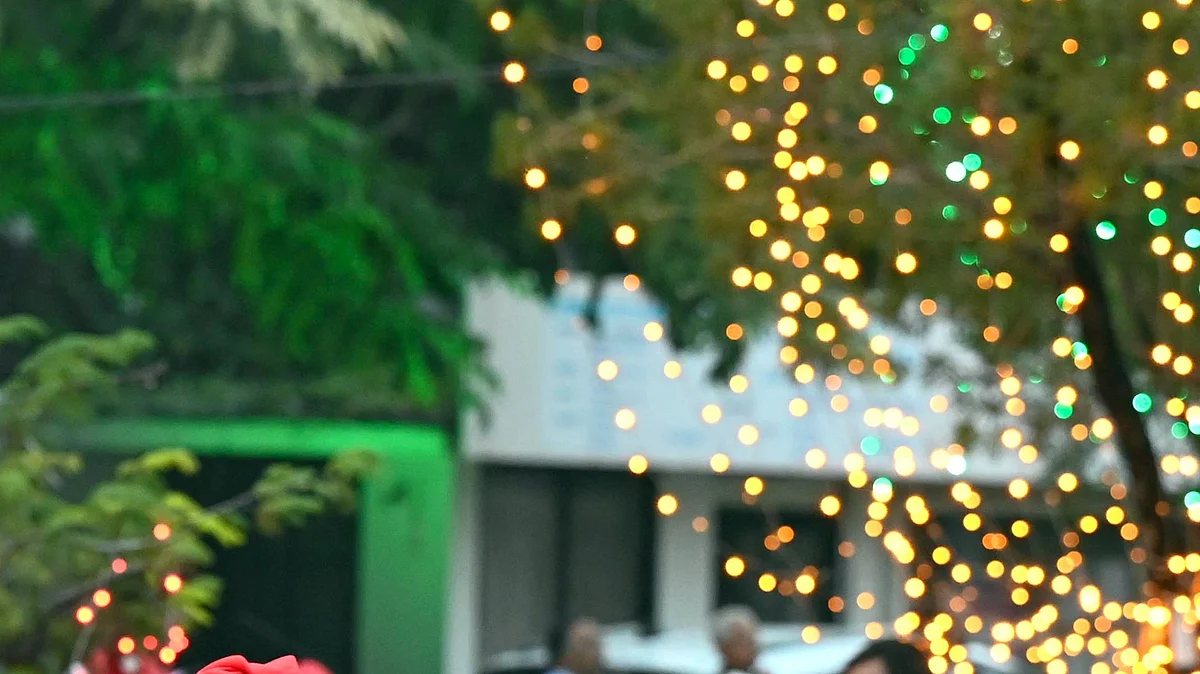 <div class="paragraphs"><p>علامتی تصویر آئی اے این ایس</p></div>