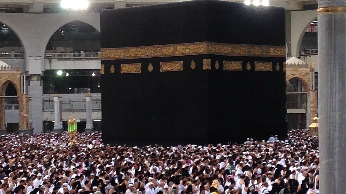 <div class="paragraphs"><p>فائل تصویر آئی اے این ایس</p></div>