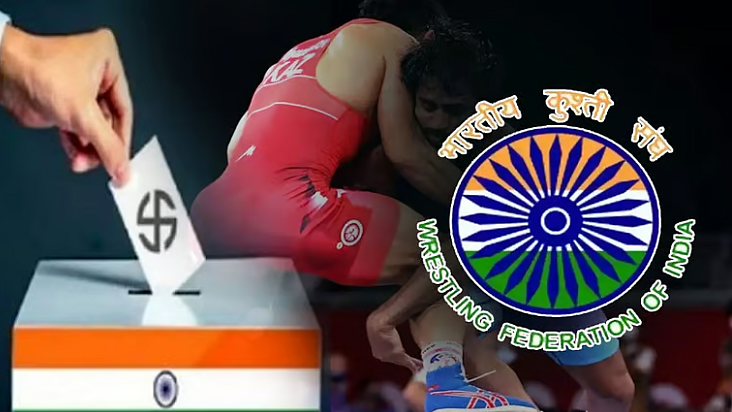 <div class="paragraphs"><p>ڈبلیو ایف آئی الیکشن، تصویر سوشل میڈیا</p></div>