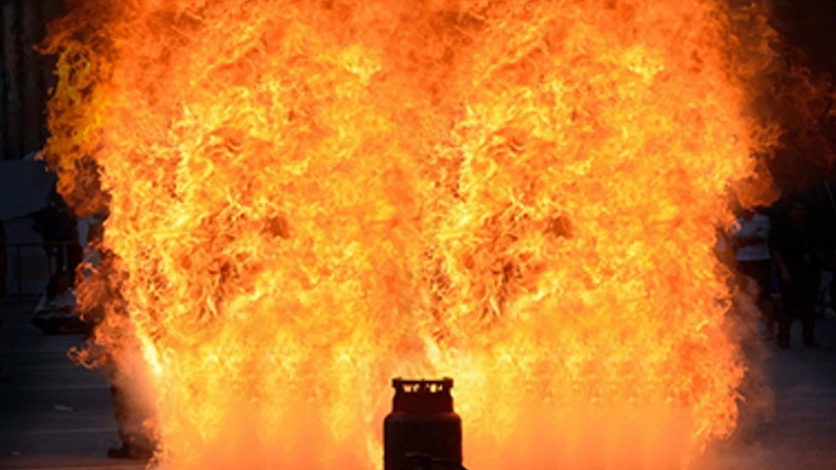 <div class="paragraphs"><p>علامتی تصویر / آئی اے این ایس</p></div>