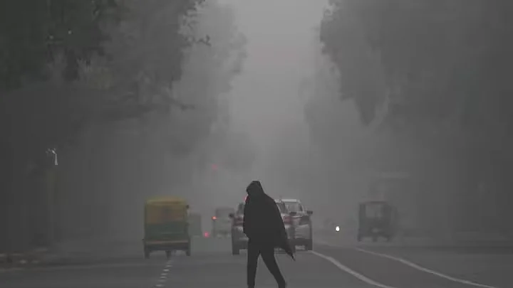 <div class="paragraphs"><p>گھنا کہرا / تصویر سوشل میڈیا</p></div>