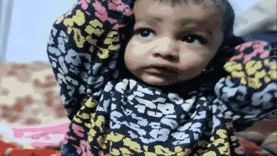 <div class="paragraphs"><p>تصویر سوشل میڈیا&nbsp;</p></div>