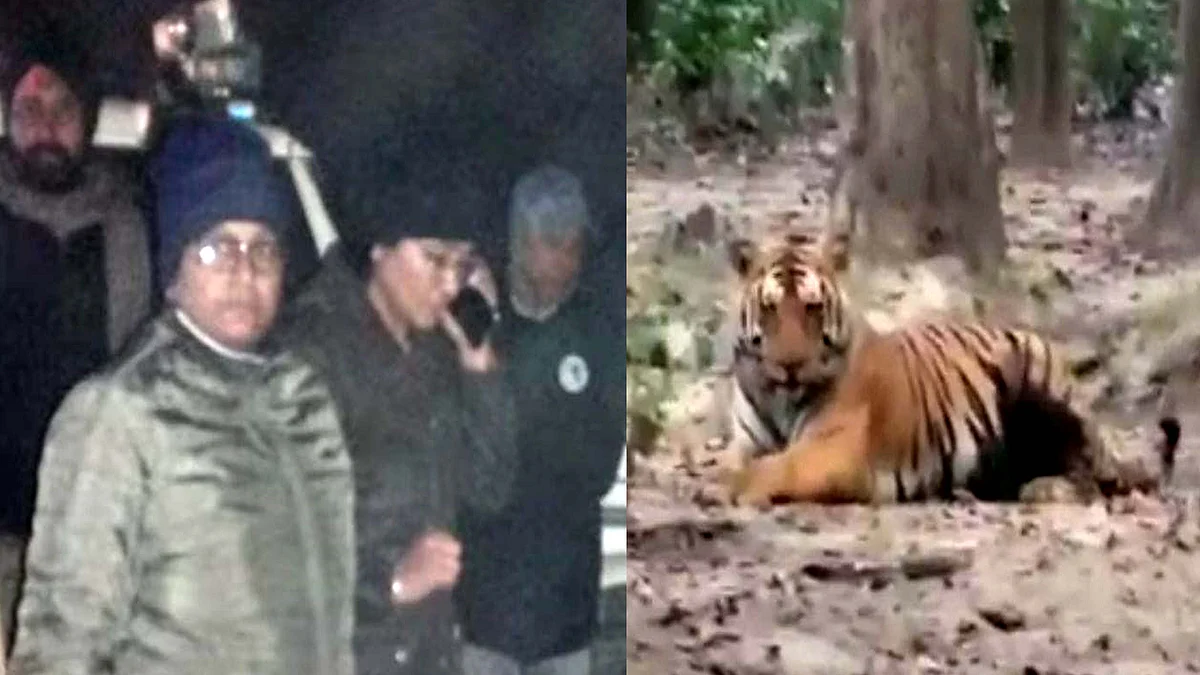 <div class="paragraphs"><p>تصویر آس محمد کیف</p></div>