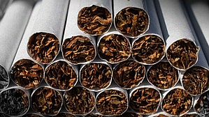 <div class="paragraphs"><p>تصویر آئی اے این ایس</p></div>