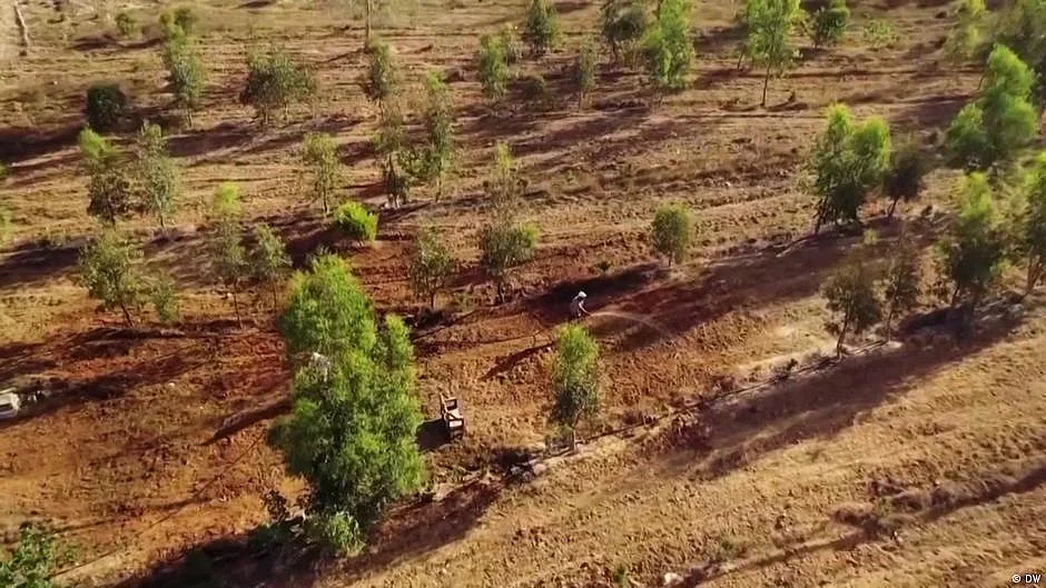 پراسرار اور انوکھی واردات، زیر زمین پانی کے اخراج سے سیلاب