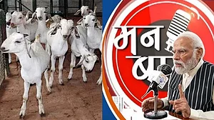 بکری پالنا صرف ذریعہ معاش نہیں ہے بلکہ اس سے لوگوں کا معیار زندگی بھی بہتر ہو رہا ہے: وزیر اعظم مودی