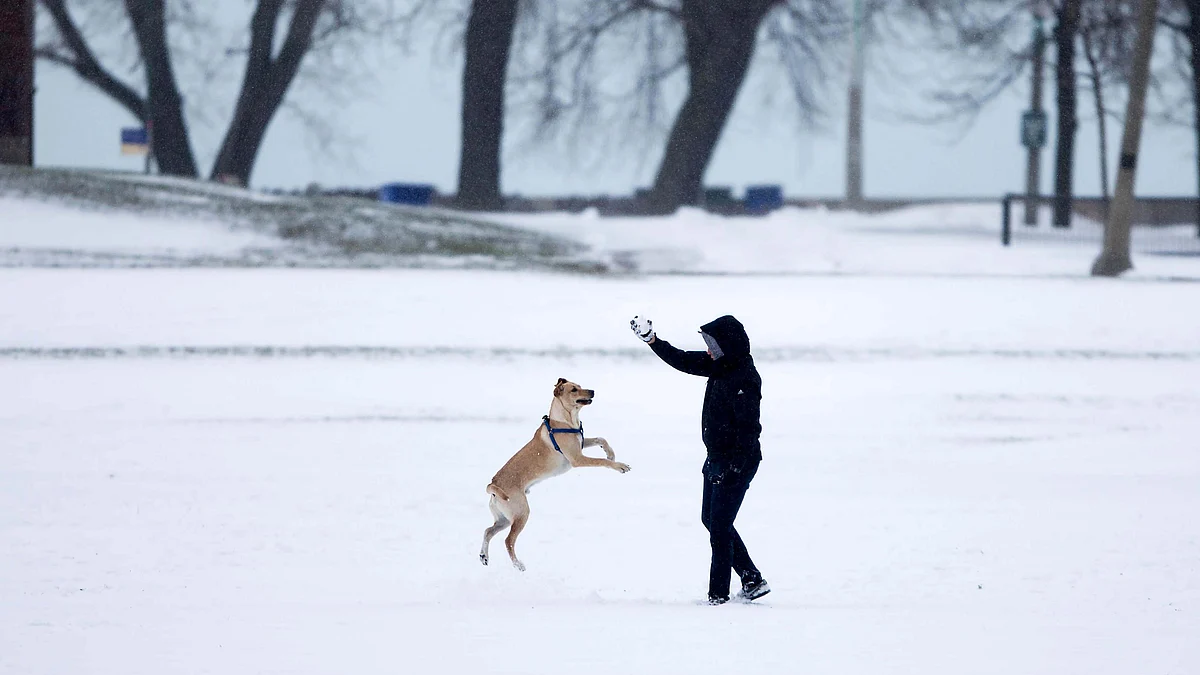 <div class="paragraphs"><p>علامتی تصویر / آئی اے این ایس</p></div>