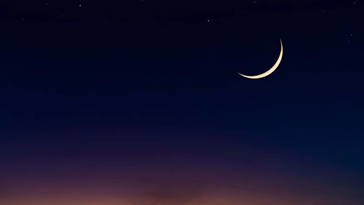 <div class="paragraphs"><p>ہلال،&nbsp;تصویر سوشل میڈیا</p></div>