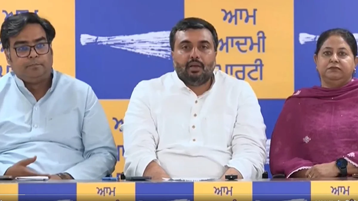 <div class="paragraphs"><p>ویڈیو گریب</p></div>